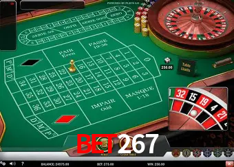 A Experiência Imersiva dos Cassinos Ao Vivo no bet267